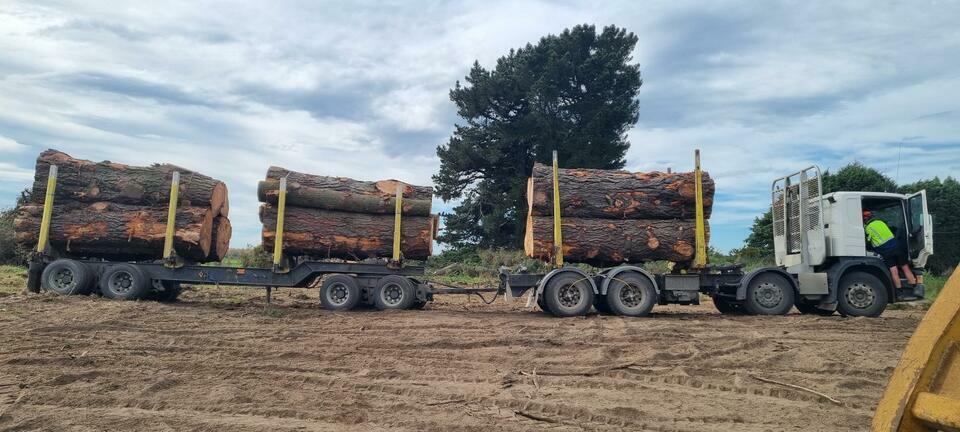 Log truck carrying logs